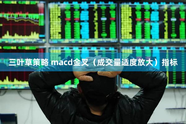 三叶草策略 macd金叉（成交量适度放大）指标