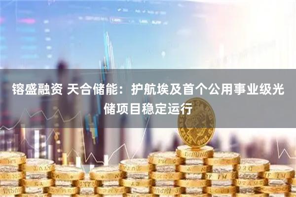 镕盛融资 天合储能：护航埃及首个公用事业级光储项目稳定运行