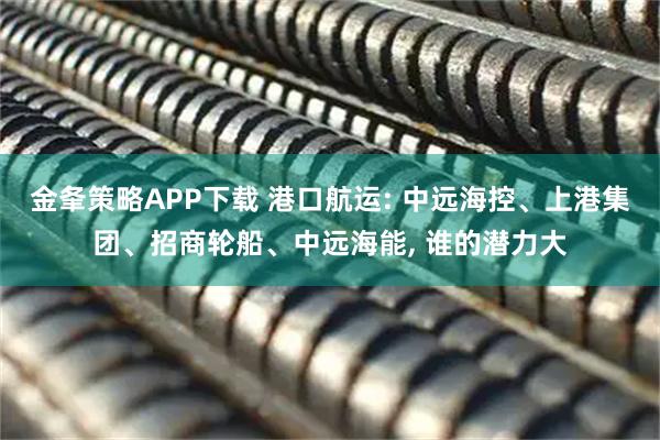 金夆策略APP下载 港口航运: 中远海控、上港集团、招商轮船、中远海能, 谁的潜力大